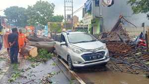 Hujan Disertai Angin Kencang di Malang, Satu Mobil Tertimpa Pohon