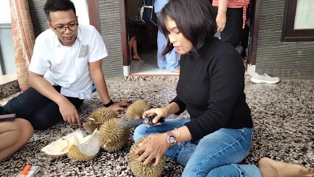 Waktunya Mencicipi Pahit Legitnya Durian Merico Trawas Mojokerto