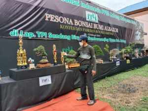 KBS Malang Gelar Pameran Bonsai Bertaraf Nasional di Pantai Sendangbiru