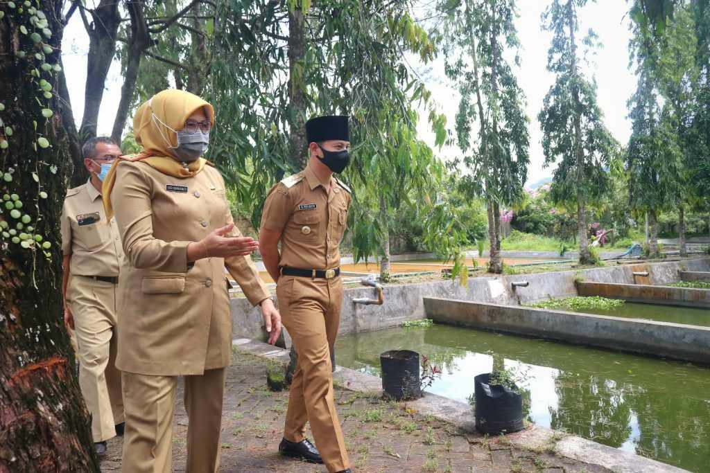 Perikanan Jadi Sektor Primer Penyumbang PDRB Trenggalek Perikanan