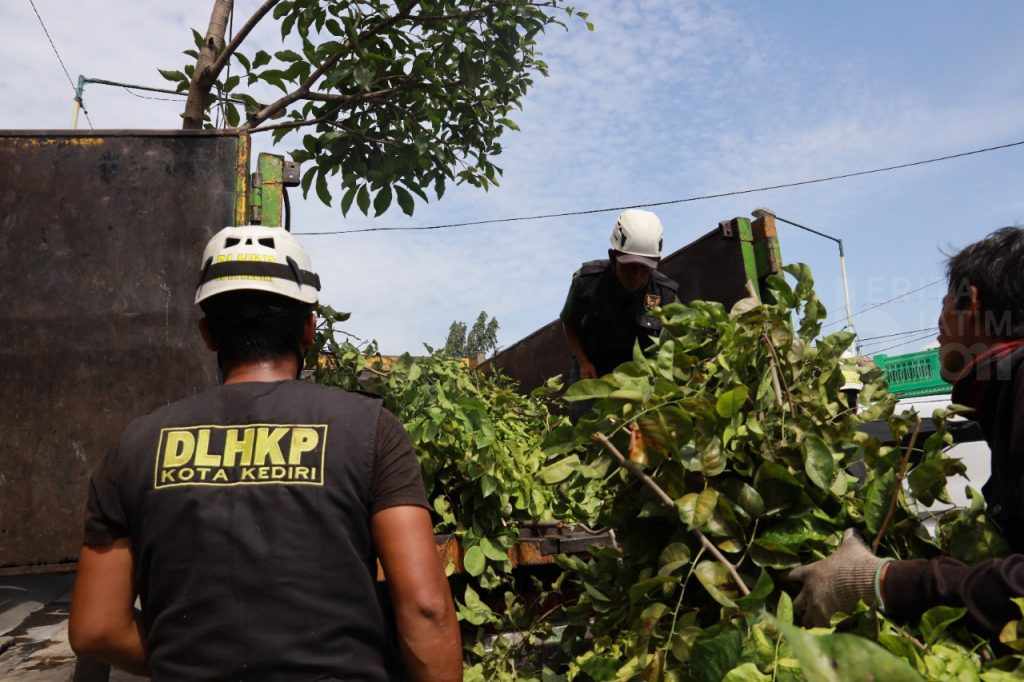 Dishub dan DLHKP Kota Kediri Lakukan Pemangkasan Pohon Rimbuh