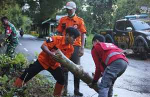 Longsor Akibatkan Akses Jalur Provinsi di Pamekasan Terganggu