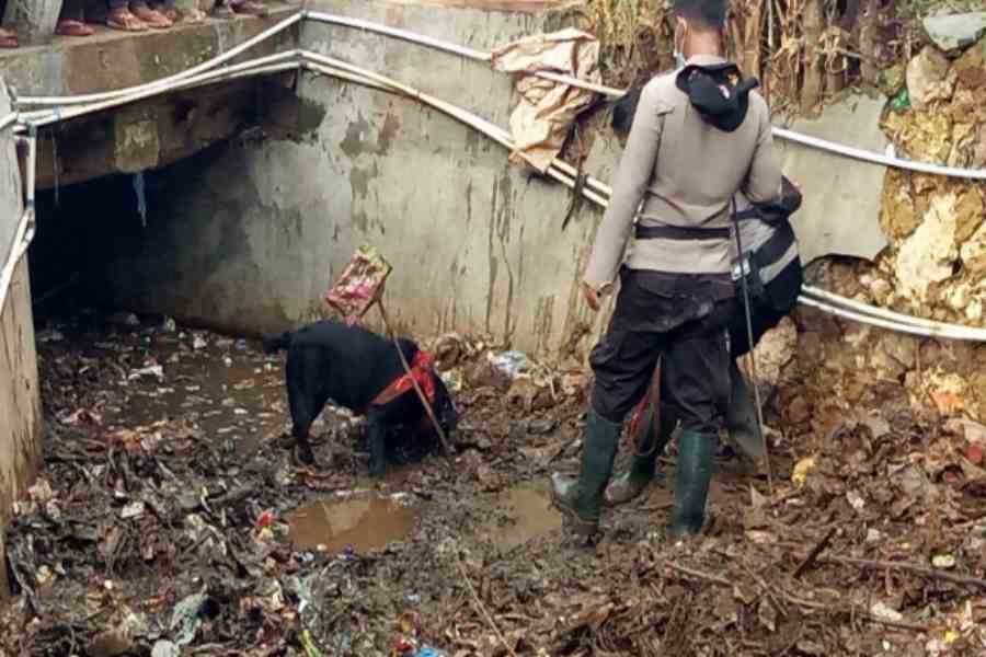 Pencarian Bocah Hanyut di Sungai Kebundadap Barat Sumenep Libatkan K9