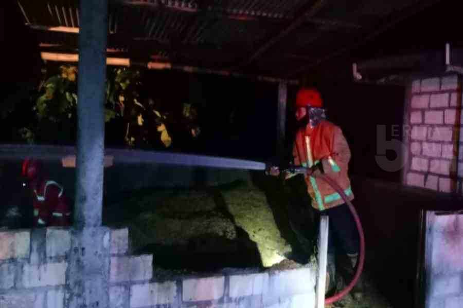 Gudang Pengering Gabah Soko Tuban Terbakar, 12 Ton Gabah Jadi Abu
