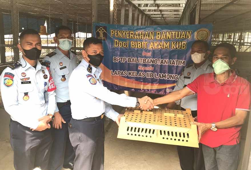 Terima Bantuan Bibit Ayam KUB, Warga Binaan Lapas Lamongan Siap Jadi Peternak