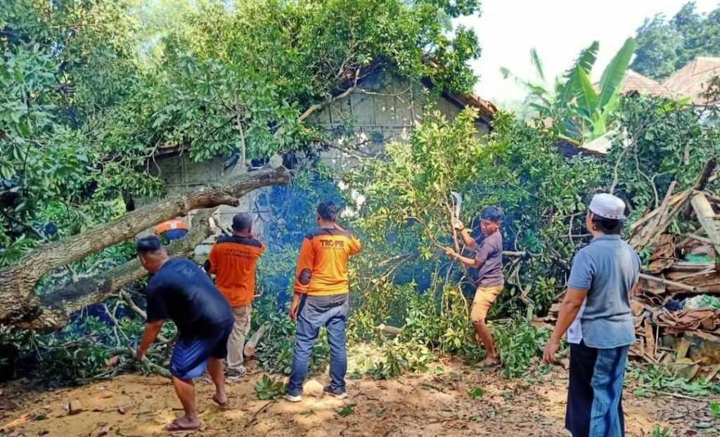 Memasuki Pancaroba, Warga Pamekasan Diminta Waspada Angin Kencang