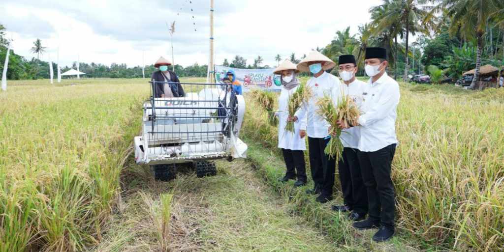 Program ‘Playu Anter’ Bikin Petani Banyuwangi Tambah Untung