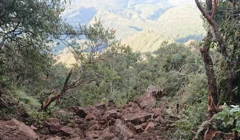 Longsor, Pendakian Gunung Lawu Lewat Jalur Cemoro Sewu Magetan Ditutup
