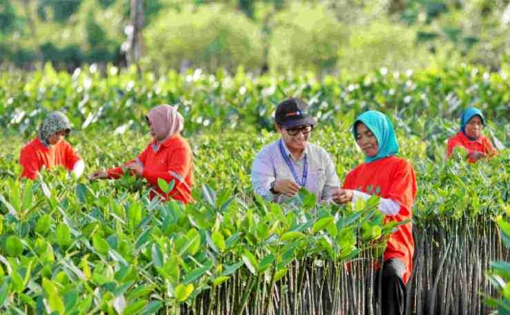 PKT Berhasil Ajak Masyarakat Binaan di Bontang Bangun Kemandirian Ekonomi