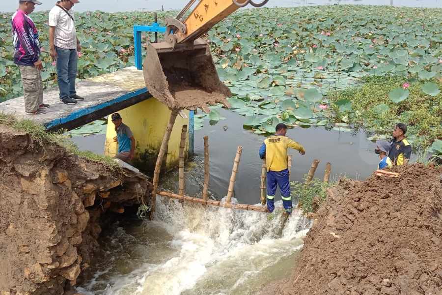 Tanggul Waduk Rancang Lamongan Jebol, Sawah dan Pemukiman Terendam