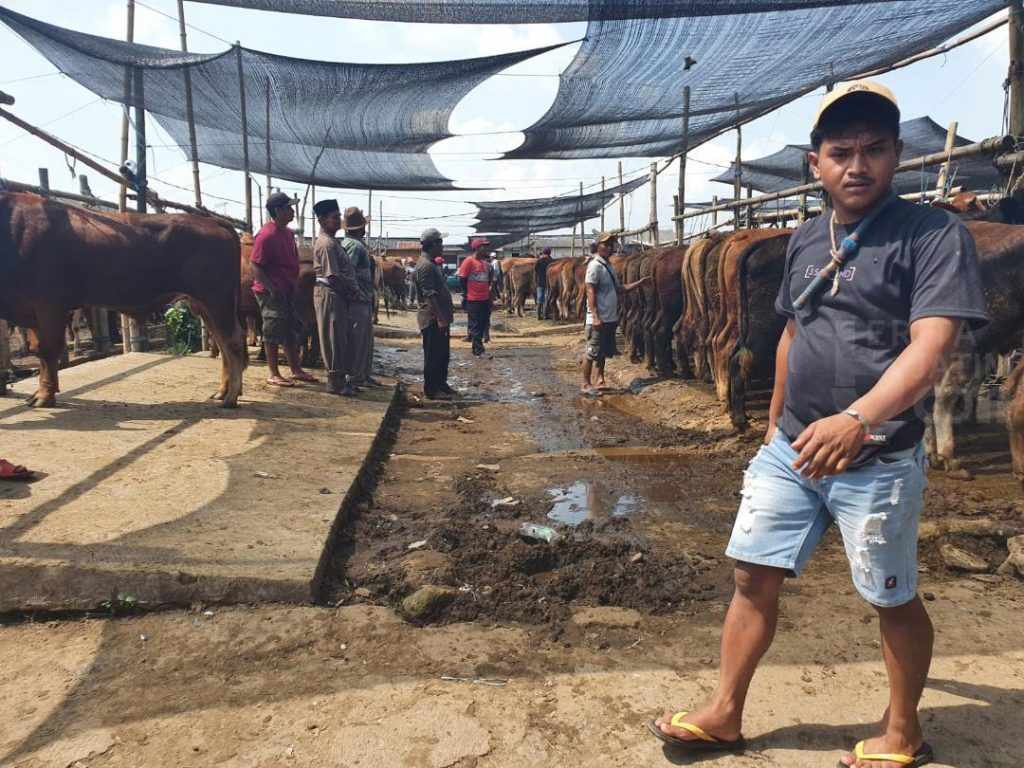 Bupati Malang Keluarkan SE Penutupan Pasar Hewan