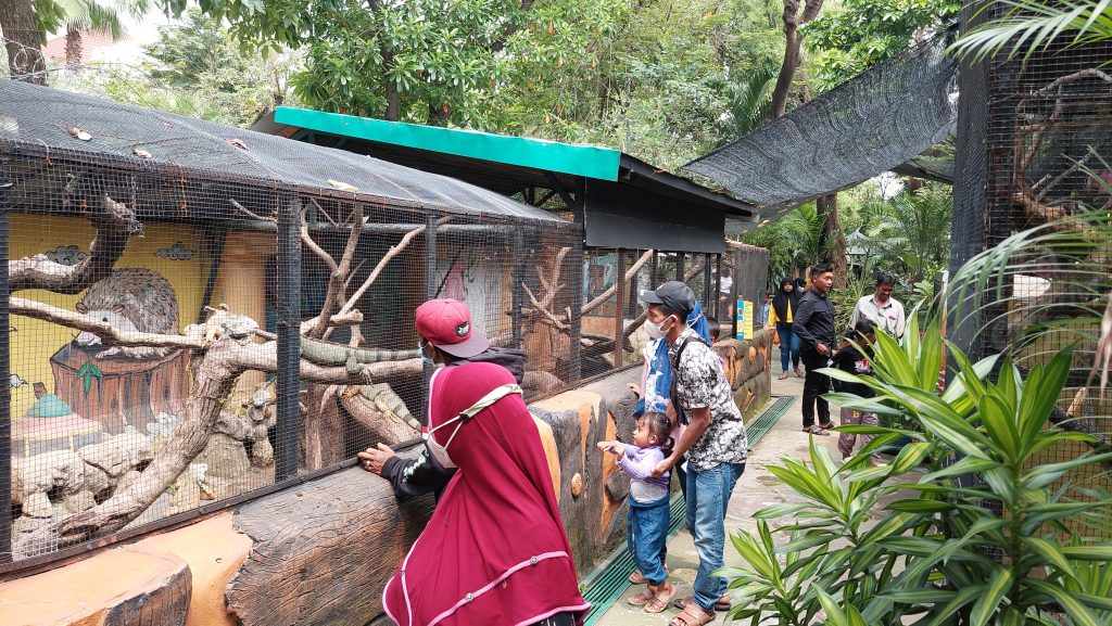 Dunia ‘Feeding’ Jadi Wisata Edukasi yang Paling Diburu Pengunjung
