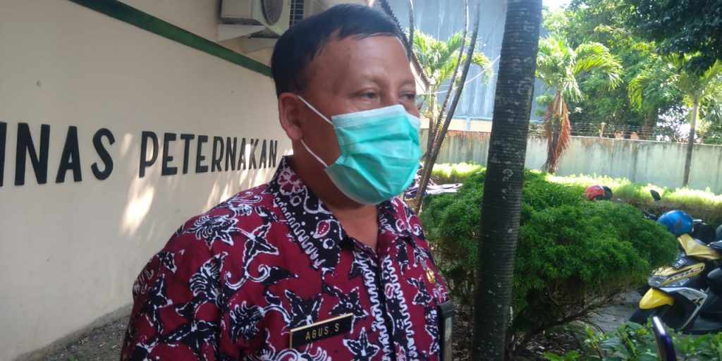 Dinas Peternakan Jombang: 5 Ekor Sapi Mati Mendadak