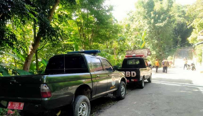 Seekor Lutung Muncul di Durenan Magetan, BPBD: Kami Upayakan Evakuasi