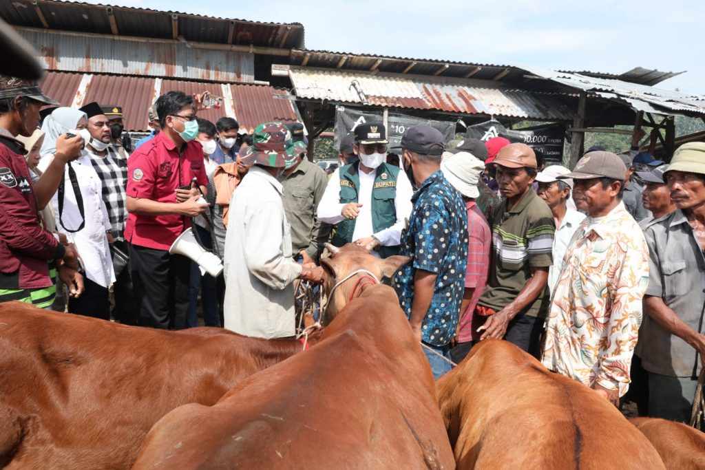 Dua Sapi di Bangkalan Terindikasi Terjangkit PMK