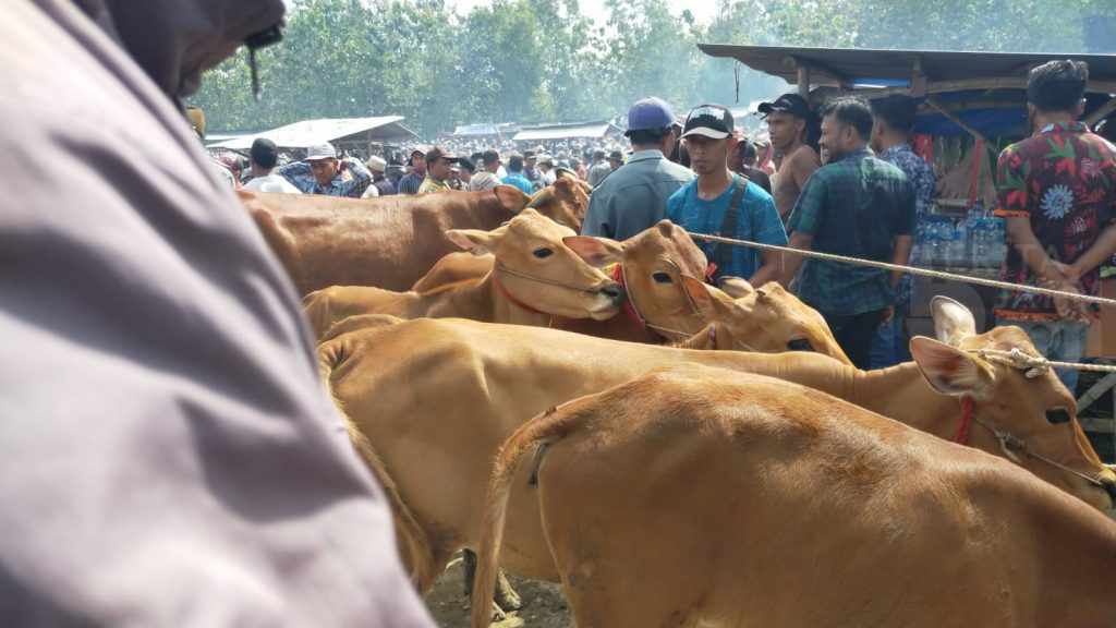 Pemkab Bojonegoro Berlakukan Kebijakan Tutup Sementara Semua Pasar Hewan