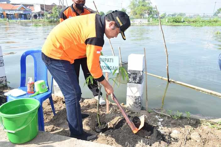 Rehabilitasi Lahan Rawan Longsor, Lamongan Tanam 2.700 Bambu