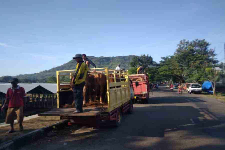 Pasar Hewan Magetan Tetap Ditutup, Bupati Suprawoto: Kebijakan dari Pusat