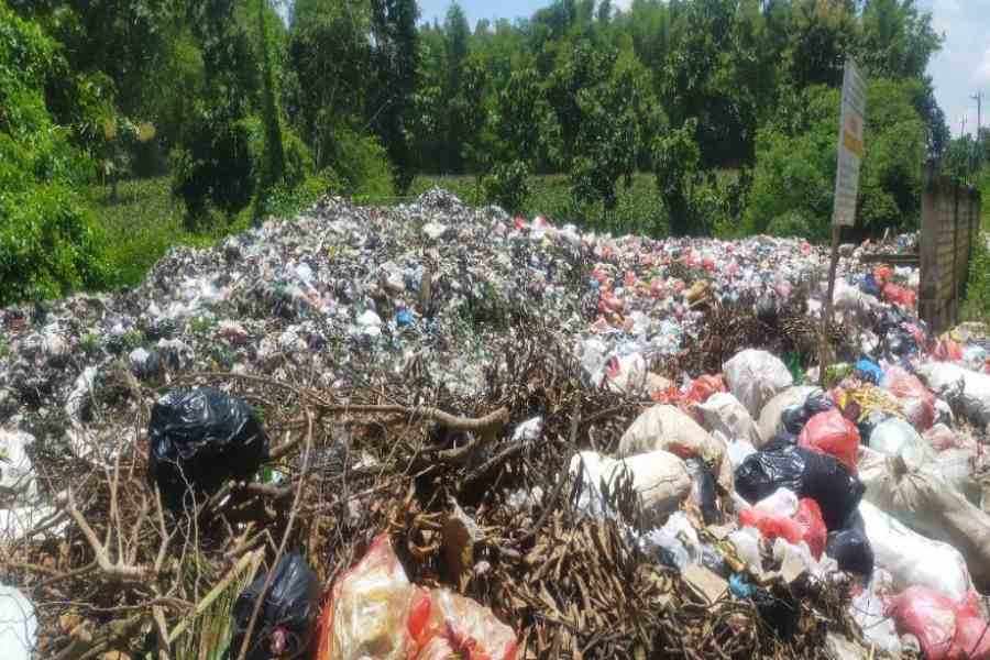 Setiap Desa dan Kelurahan di Jember Perlu Bank Sampah Ilustrasi Sampah