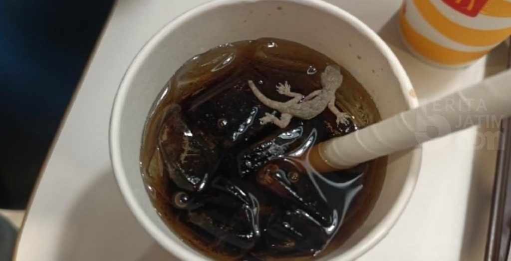 Bikin Muntah, Ada Cicak Mati di Minuman Ringan Restoran Waralaba