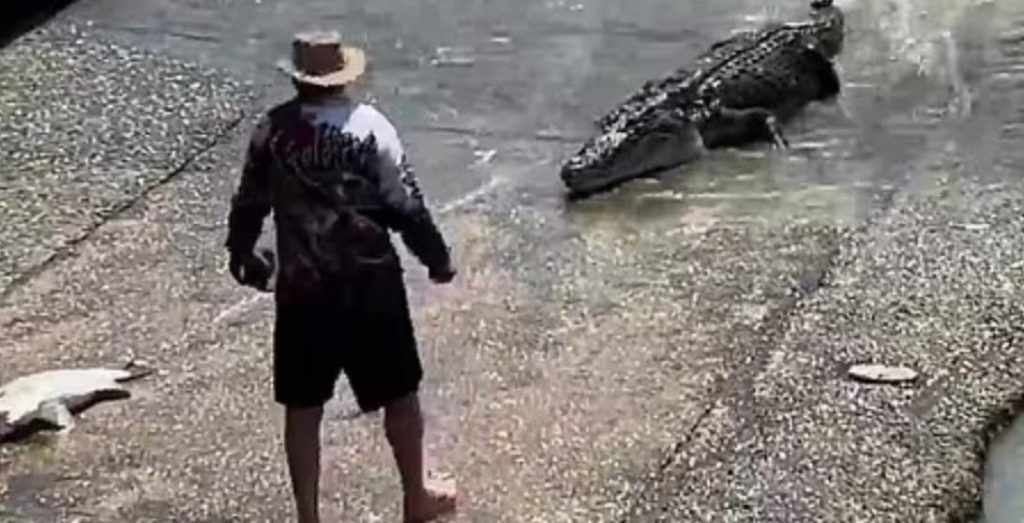 Ayah Nekat Bertarung Melawan Buaya Demi Dapatkan Kembali Topi Anaknya