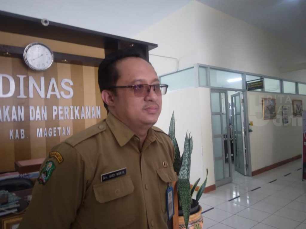 PMK di Magetan Meluas, Sapi Kawasan Perbatasan Madiun Mulai Terjangkit