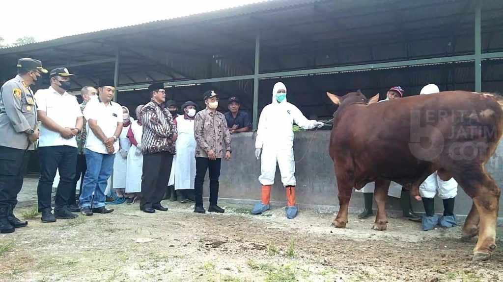 Jelang Iduladha, Bangkalan Terima 2.500 Vaksin PMK