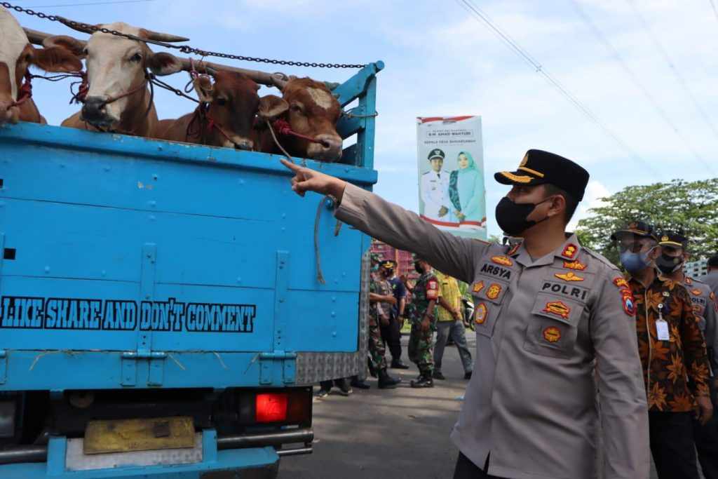 Polisi Cegat Kendaraan Pengangkut Ternak di Perbatasan Probolinggo-Lumajang
