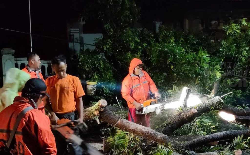 Tertimpa Pohon Tumbang di Jalan, Gigi Warga Magetan Patah