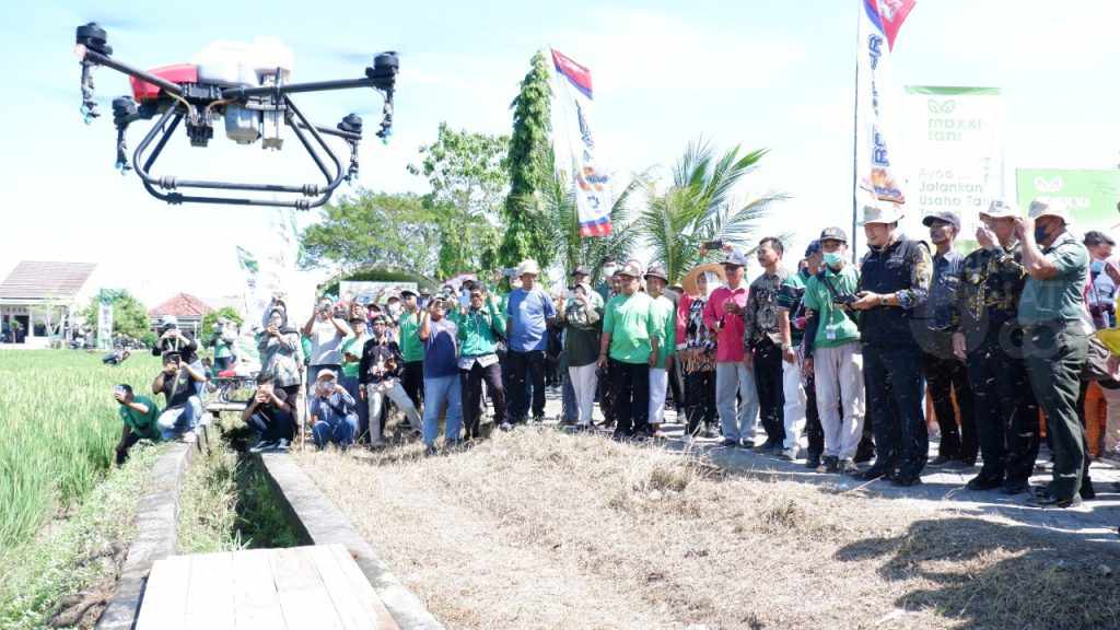 Kendalikan Hama Blas, Lamongan Gunakan Pesawat Tanpa Awak