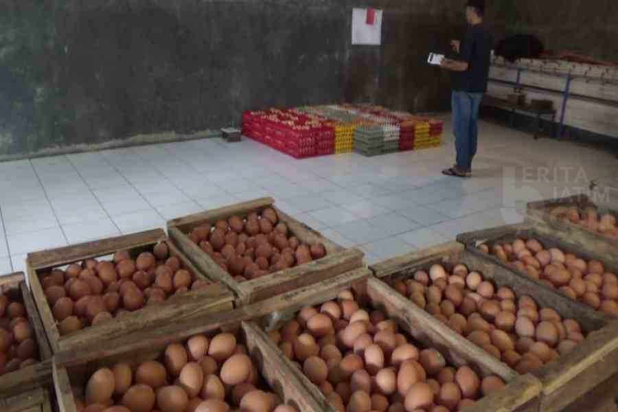 Harga Mahal, Warga Ngawi Berburu Telur Retak
