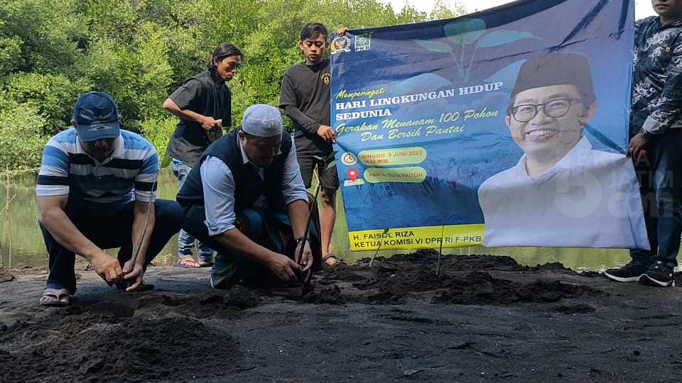Relawan Faisol Riza Tanam Mangrove di Pantai Duta Randutatah Probolinggo