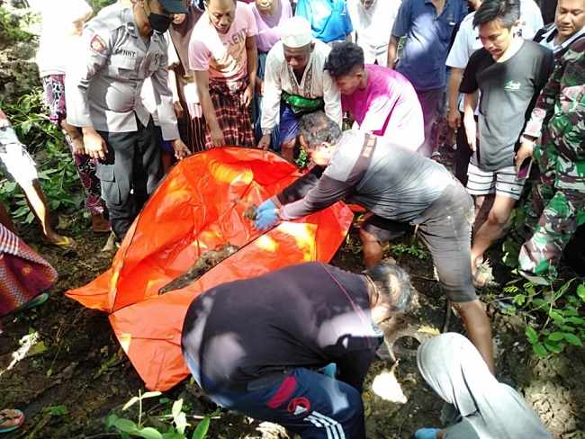 Cari Musang dan Ular, Warga Sumenep Malah Temukan Tengkorak Manusia di Hutan Jati