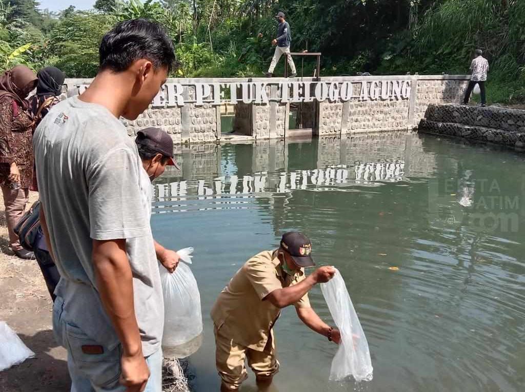 Pemkab Kediri Tebar Ratusan Ribu Benih Ikan di Perairan Umum