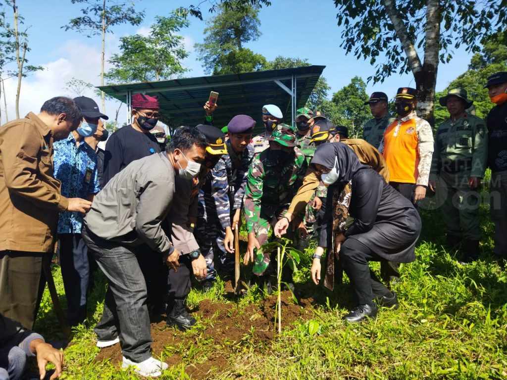 Kolaborasi PWI Banyuwangi Peduli Penghijauan
