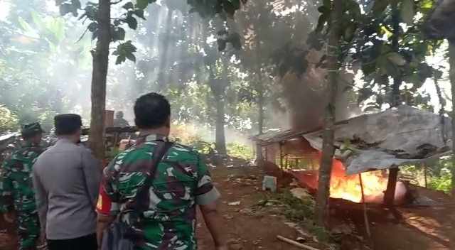 Arena Sabung Ayam di Tengah Hutan Gondang Mojokerto Digerebek