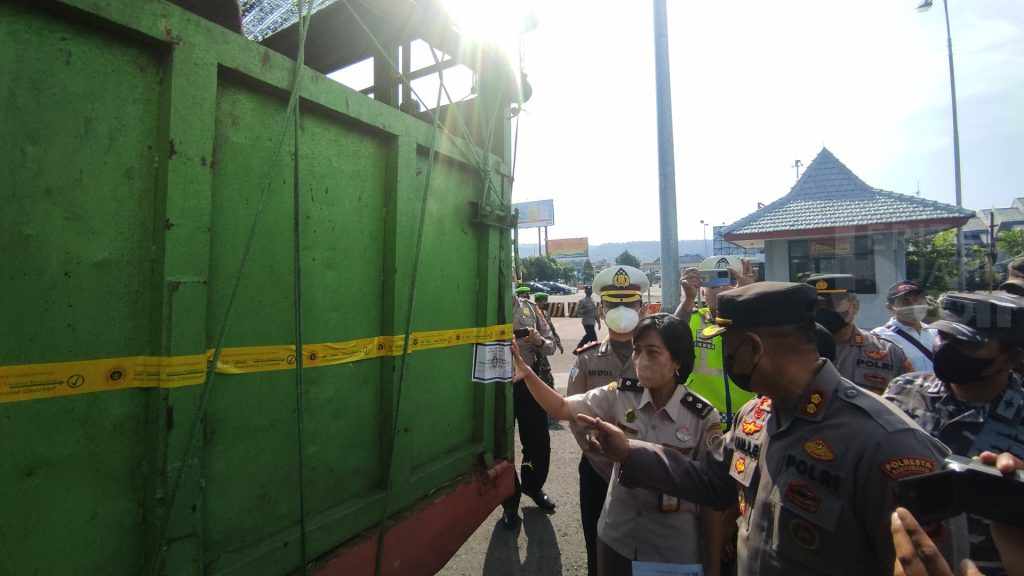 Ada PMK, Sehari 1000 Sapi Bali Masuk Banyuwangi