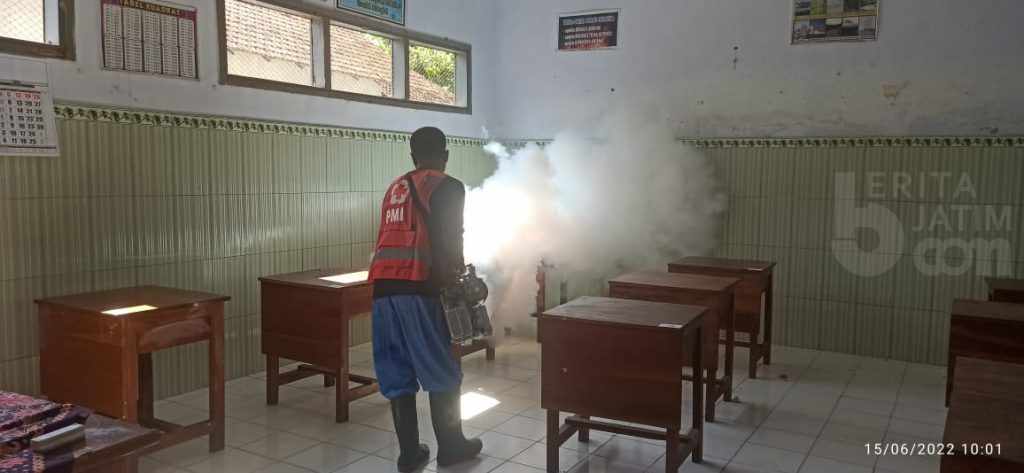 Nyamuk DBD Makan Korban Jiwa, Pemdes di Jember Minta Alat Fogging