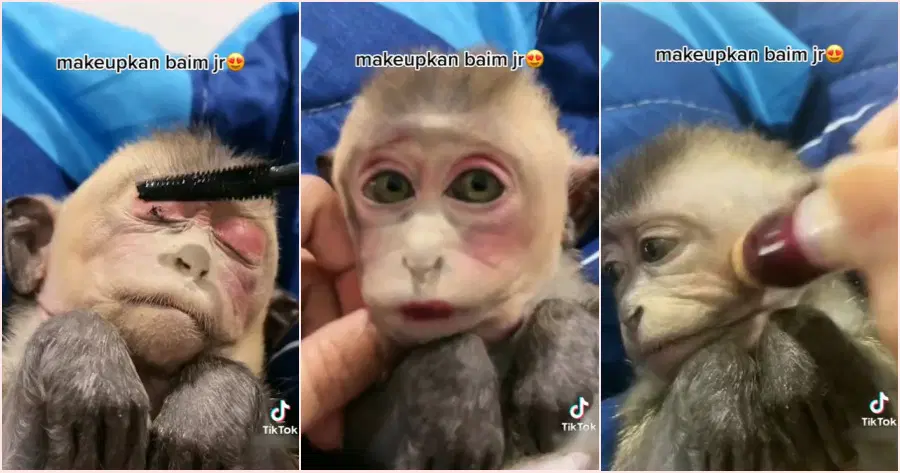 Pakai Model Monyet, MUA Ini Diprotes Warganet