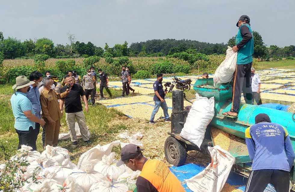 Kakorbinmas Baharkam Polri, Irjen Pol Suwondo Nainggolan didampingi AKBP Miko Indrayana saat menggelar studi banding penanaman jagung di Desa Bluri, Solokuro