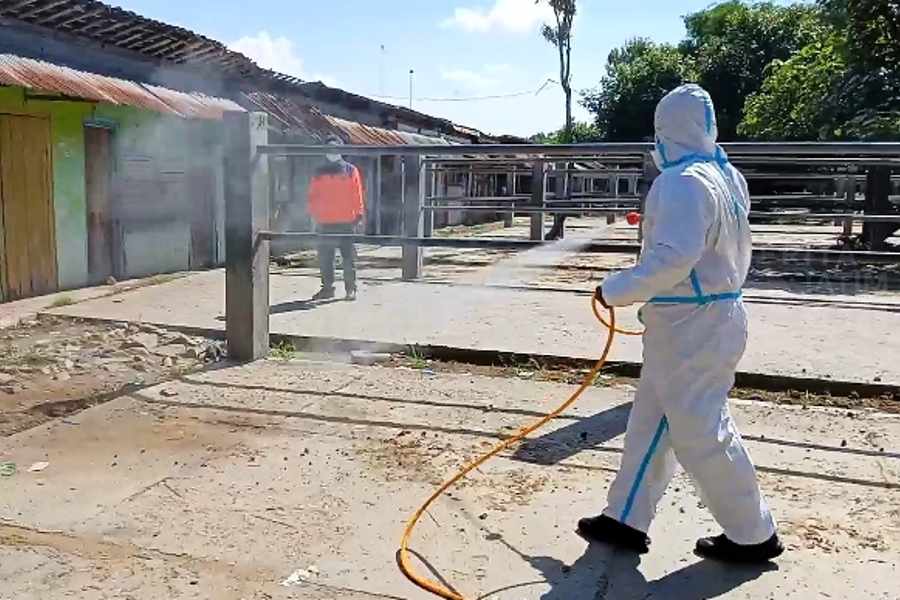 Cegah Meluasnya Wabah PMK, 3 Pasar Hewan di Ponorogo Disemprot Disinfektan