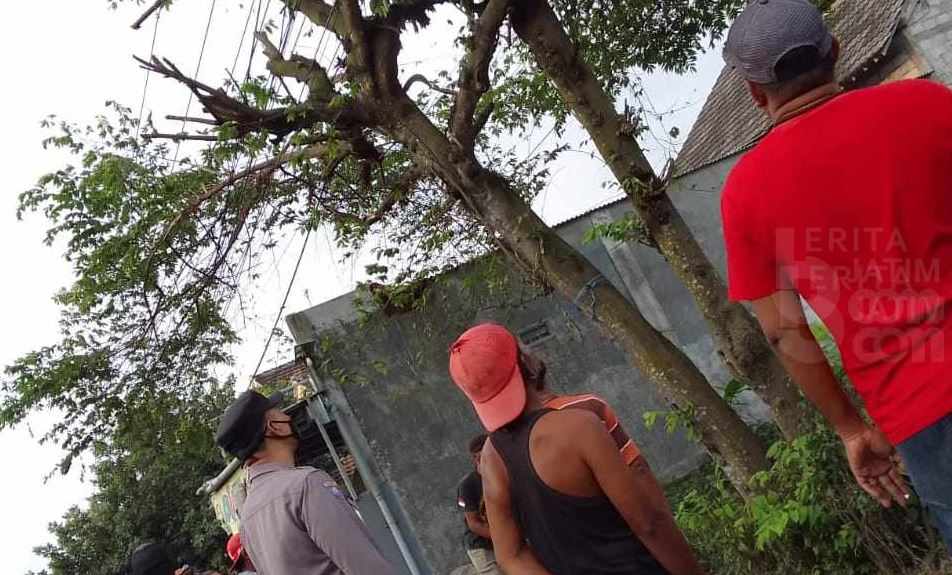 Diduga Penyakit Ginjal Kambuh, Petani Kediri Tewas di Atas Pohon Ceri