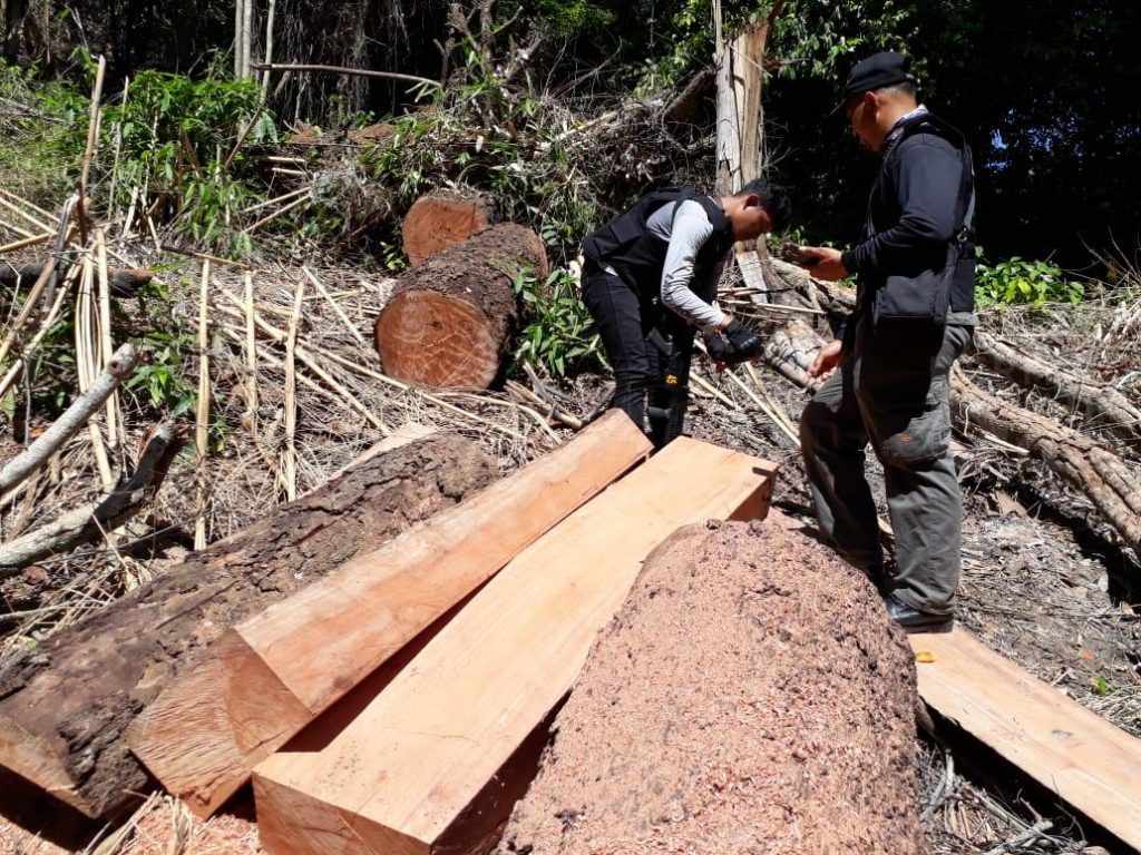 2 Tersangka Pembalakan Hutan di Kabupaten Malang Tertangkap
