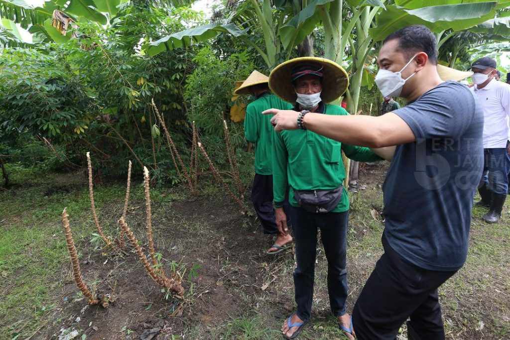 Hadapi Ancaman Krisis Pangan Global, Wali Kota Surabaya Manfaatkan Lahan Mangkrak