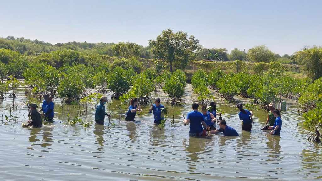 Peringati Hari Mangrove Sedunia, Komunitas Karbon Biru Tanam 1000 Bibit dan Serukan Pentingnya Bakau