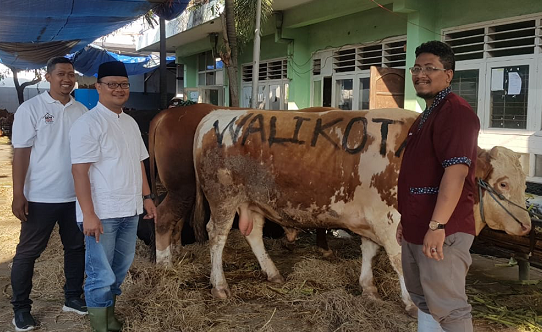 Sapi Kurban Wali Kota Surabaya Hampir Berbobot Satu Ton, Ada yang Bermata Kucing