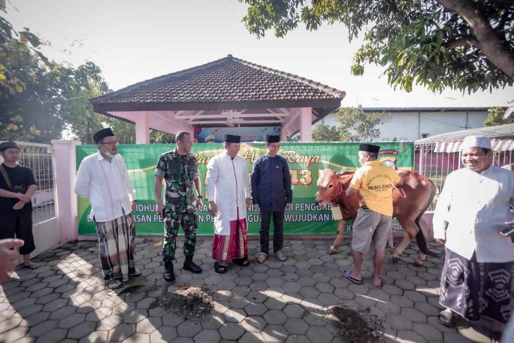 Bupati Jember Hendy Siswanto Kurban 6 Ekor Sapi di 4 Lokasi