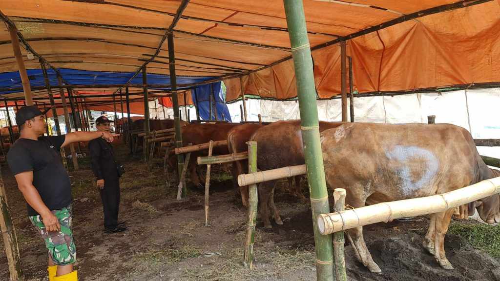 Bos Rokok Bulusari Bagikan 80 Ekor Sapi di Pasuruan
