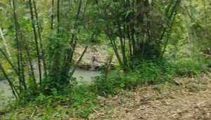 Mandi di Sungai, Balita di Sampang Tenggelam