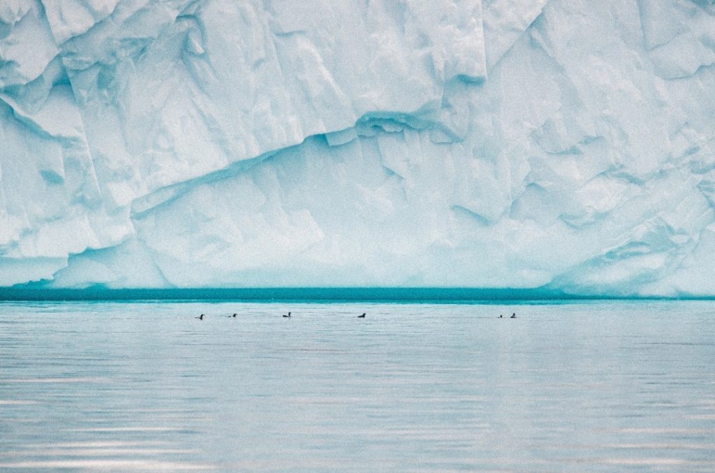 Apa Itu Iceberg yang Sering Muncul Saat Musim Dingin, Keren Tapi Bisa Sangat Bahaya